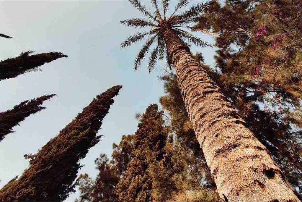 Villa Piscine أغادير المظهر الخارجي الصورة